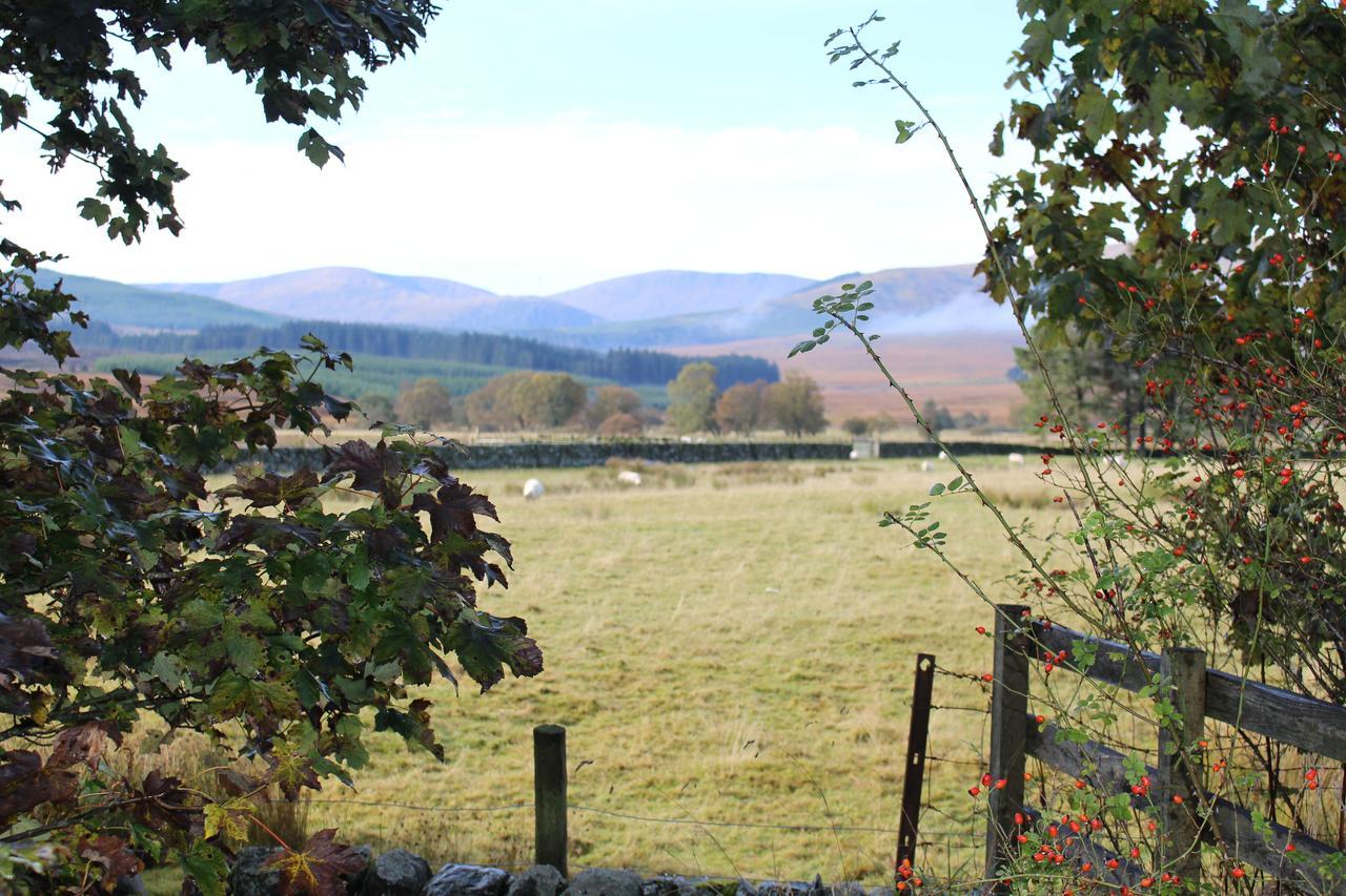 The Knowe B&B Carsphairn Exterior foto