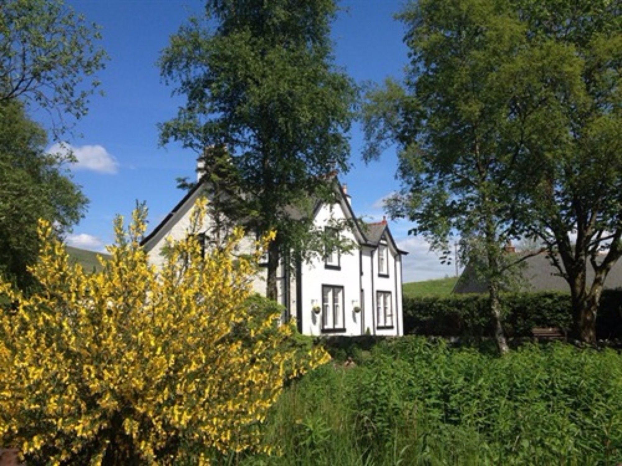 The Knowe B&B Carsphairn Exterior foto